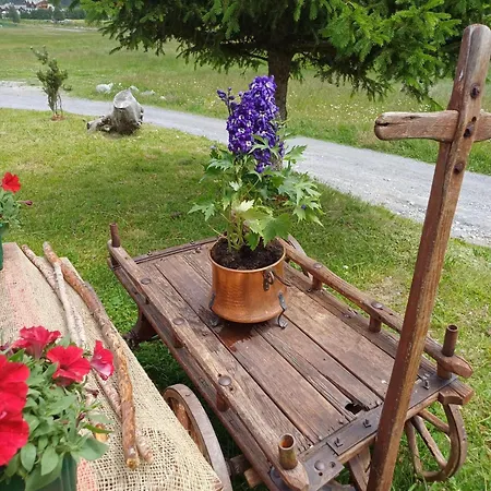 Renzo Livigno