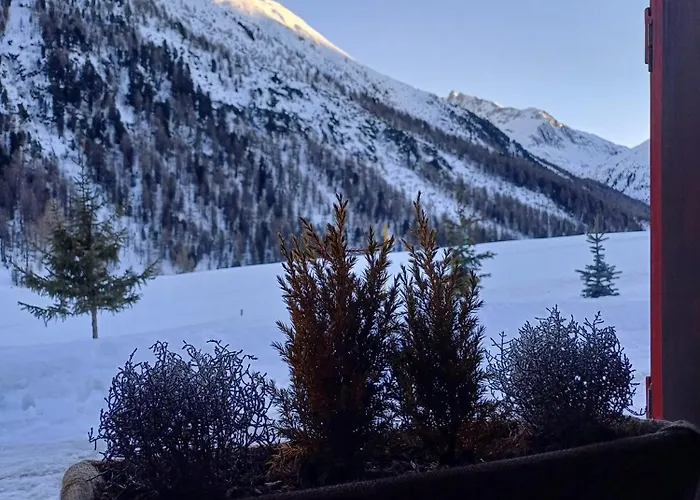 Renzo シャレー *