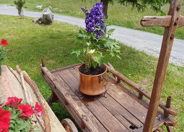 Renzo リヴィーニョ