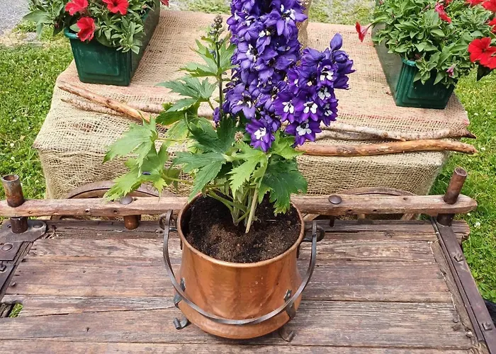 Renzo シャレー *