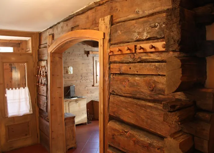 Renzo * リヴィーニョ